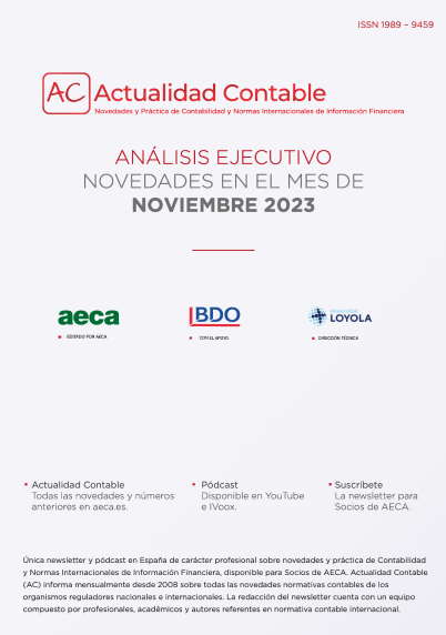 analisis_contabilidad_noviembre